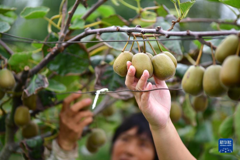 菠菜游戏源码